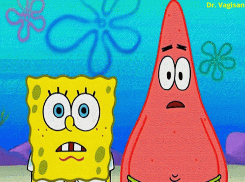 Spongebob And Patrick From Spongebob Squarepants Are Standing Next To Each Other With A Flower In The Background GIF