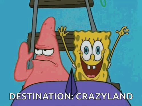 SpongeBob And Patrick On Crazyland Roller Coaster GIF