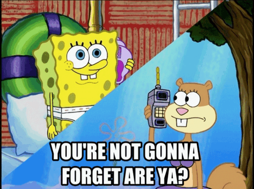 Spongebob And Sandy Cheeks You're Not Gonna Forget Are Ya GIF