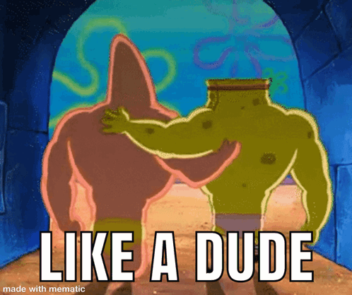 Spongebob And Shrek Hugging Saying Like A Dude GIF