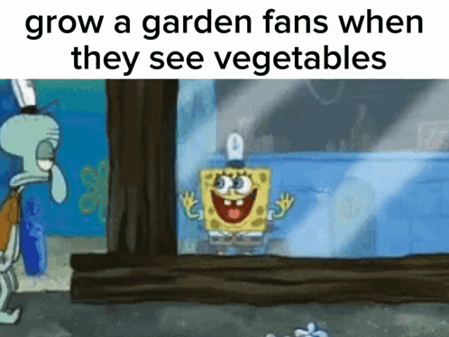 Spongebob And Squidward Looking Out Window GIF