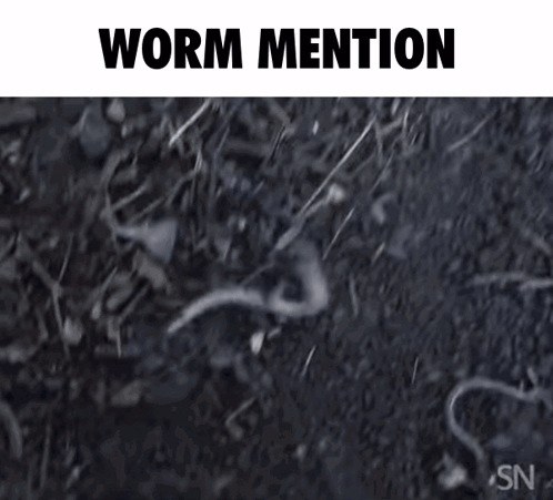 SpongeBob and Worm Who's a Good Boy