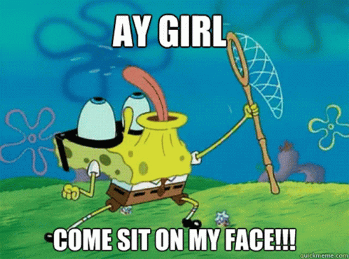 SpongeBob Ay Girl Come Sit On My Face GIF