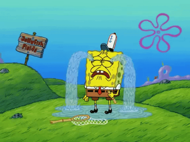 Spongebob Crying Jellyfish Field GIF