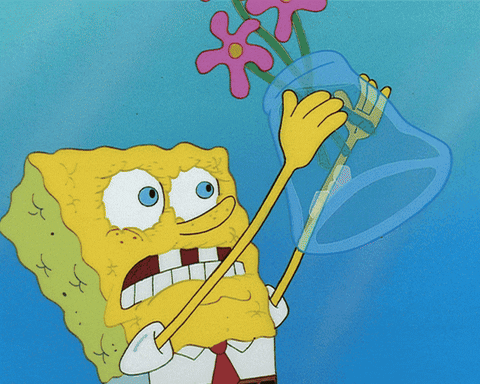 Spongebob Emptying Water From Flower Vase GIF
