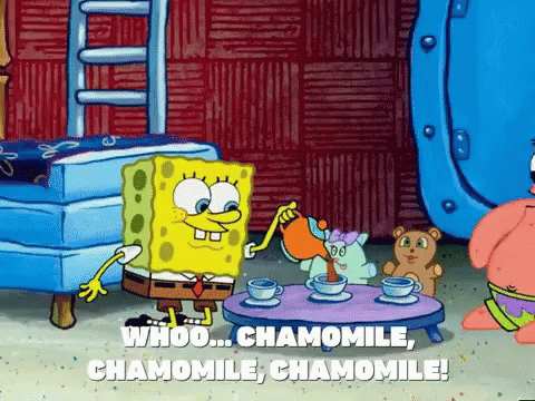 Spongebob Patrick Boston Tea Party GIF