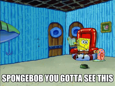 SpongeBob Reading Book You Gotta See This