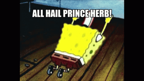 Spongebob Says All Hail Prince Herb In This Cartoon GIF