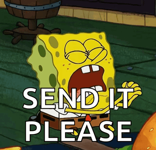SpongeBob Screaming Send It Please
