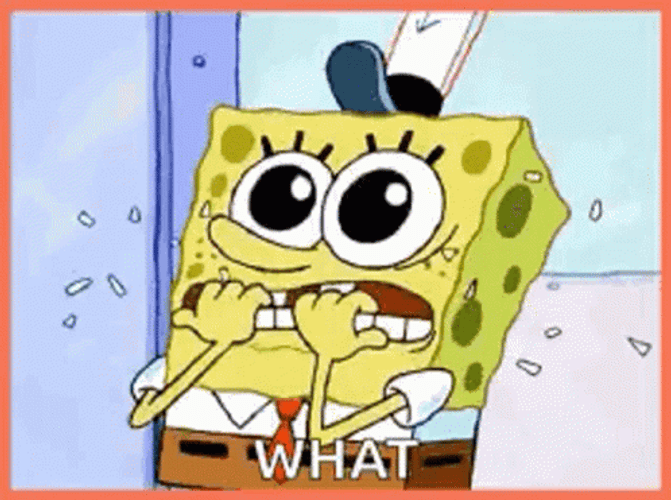 SpongeBob Shocked Terrified What GIF
