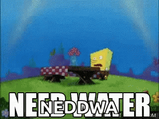 SpongeBob Sitting at Picnic Table Need Water