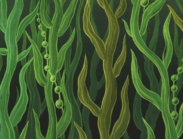 Spongebob Spongebob Squarepants Gif GIF