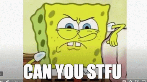 Spongebob Squarepants Angry Can You Stfu GIF