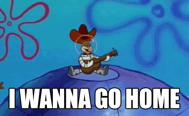 Spongebob Squarepants Gif GIF