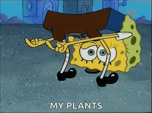 Spongebob Squarepants Is Holding A Piece Of Wood And Says `` My Plants '' While Walking . GIF