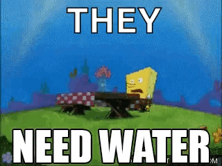 Spongebob Squarepants Is Sitting At A Picnic Table In A Field With The Words `` They Need Water '' . GIF