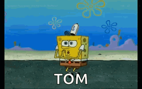 SpongeBob SquarePants on Beach with Tom