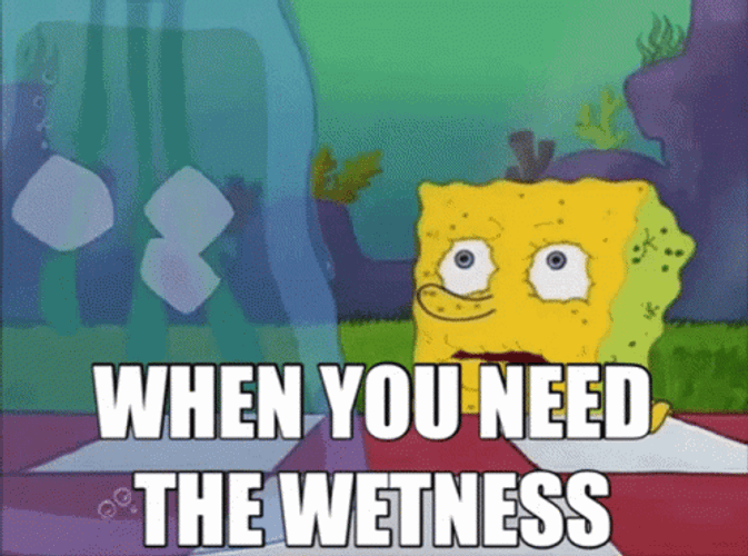 Spongebob The Wetness I Need It  GIF