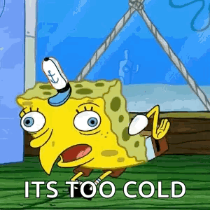 SpongeBob With Bird Head Saying It's Too Cold