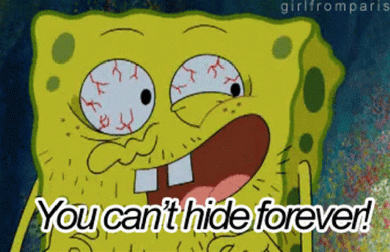 Spongebob You Can't Hide Forever! GIF