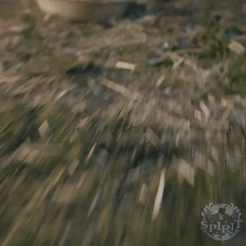 Spooky Month Spirit Halloween Zombie Dog GIF