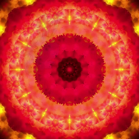 Spooky Month Witch Pumpkin Waving Animals GIF