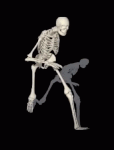 Spooky Scary Skeletons Run GIF
