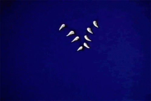 Spooky Scary Skeletons Ripping Paper GIF