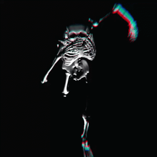 Spooky Scary Skeletons Running GIF
