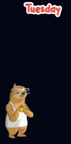 Spooky Tuesday Sloth Playing Ball GIF