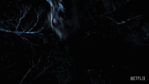 Spooky Wednesday Bat GIF