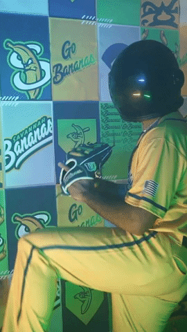 Sport Baseball Savannah Bananas GIF