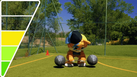 Sport Olympics Moving Cat GIF