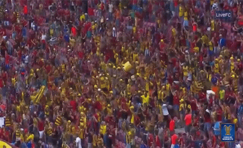 Sport Vs Vitoria Crowd Cheering GIF
