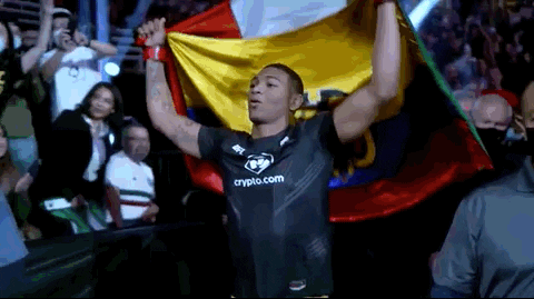 Sports Ecuador Flag Athlete GIF