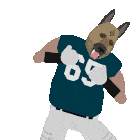 Sports Football Sticker GIF