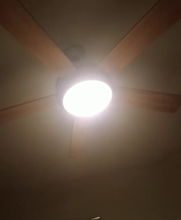 Spotlight Ceiling Fan GIF