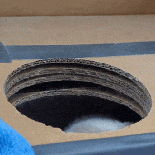 Spotted Cat Lurking GIF