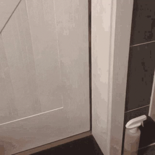 Spray Bottle Next To White Door GIF