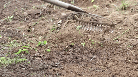 Spreading Mulch With A Rake GIF