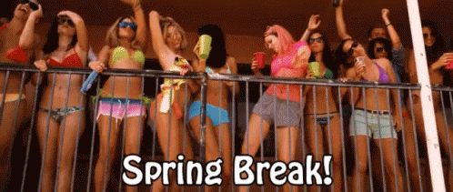 Spring Break Party Girls Dancing GIF