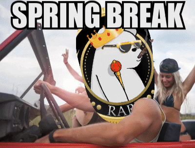 Spring Break Rare Bitcoin Meme GIF