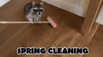 Spring Cleaning Swiper No Swiping GIF