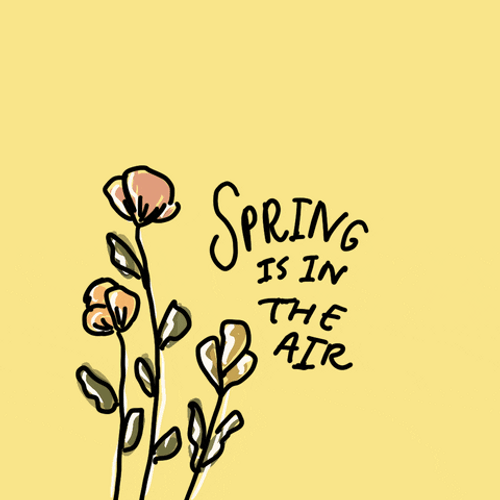 spring is in the air