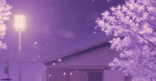 Spring Night Purple Aesthetic GIF