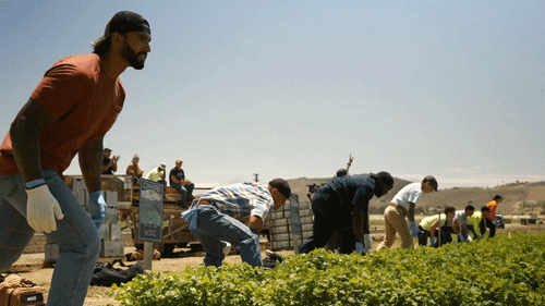 Sprinting Running Competition In Woods GIF