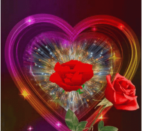 Sprouting Rose Corazon GIF