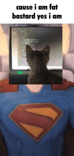 Spush Fortnite Meme GIF