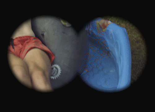 Spying On Day Drinking Man GIF