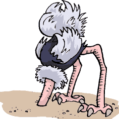 Spying Ostrich Bury Its Head GIF